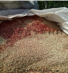 陶瓷制品圖片/陶瓷制品樣板圖 (2)