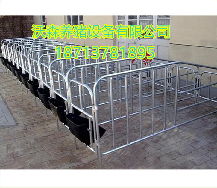 母豬定位欄圖片/母豬定位欄樣板圖 (2)