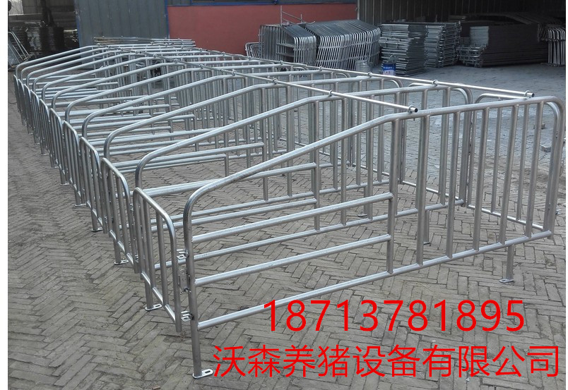 母豬定位欄 限位欄圖片