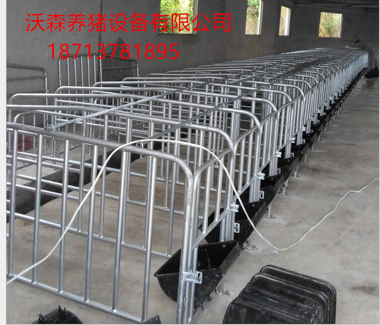 母豬保胎欄圖片