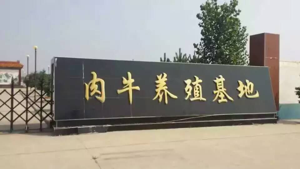 北京黑白花圖片/北京黑白花樣板圖 (3)