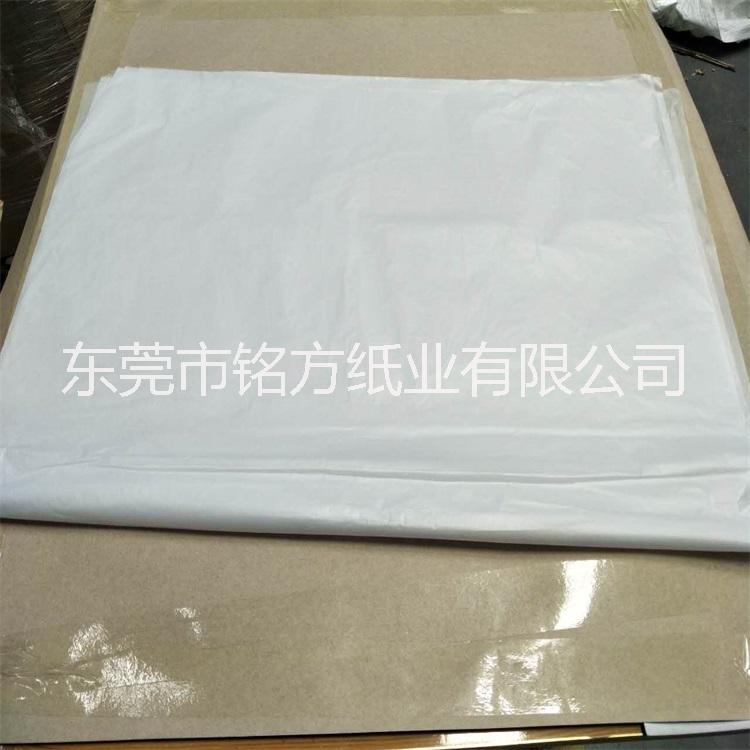 白半透明紙圖片/白半透明紙樣板圖 (2)