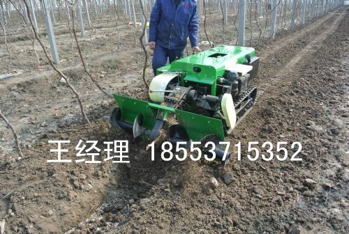 多功能果園開溝機圖片/多功能果園開溝機樣板圖 (4)