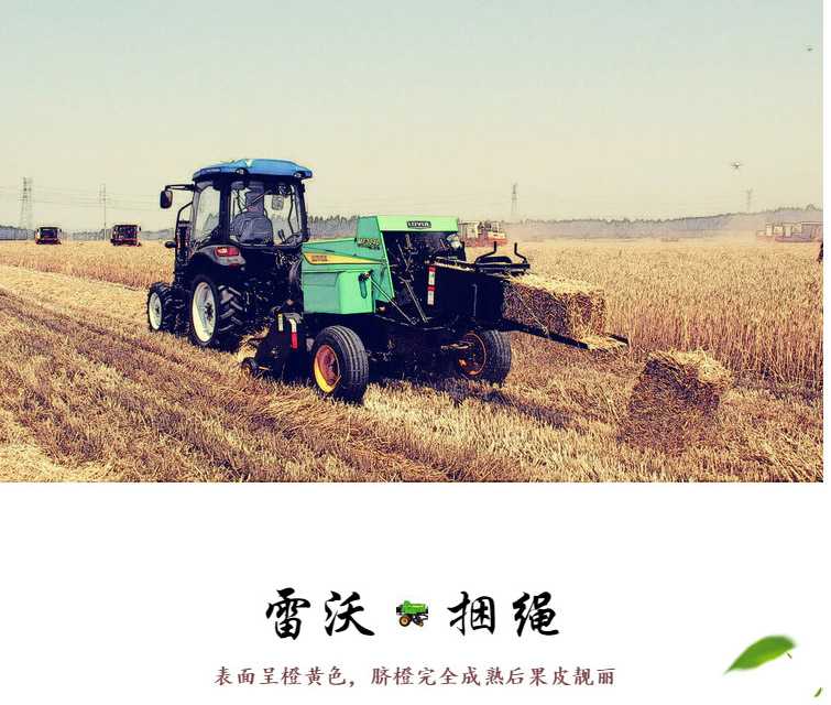 福田雷沃打捆機捆草繩圖片/福田雷沃打捆機捆草繩樣板圖 (3)