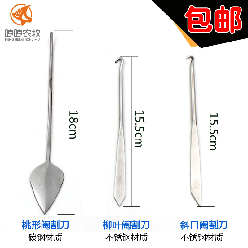 豬仔豬圖片/豬仔豬樣板圖 (2)