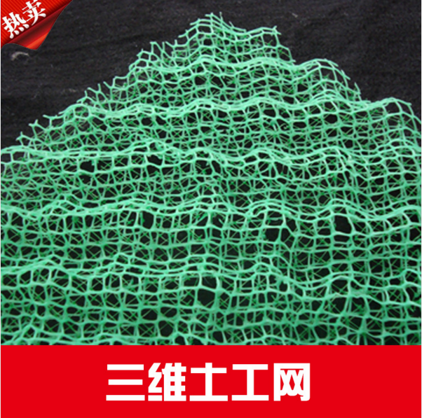 土工網圖片/土工網樣板圖 (4)