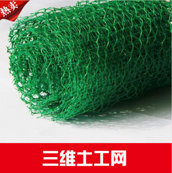西安三維土工網(wǎng)生產(chǎn)廠家報價圖片