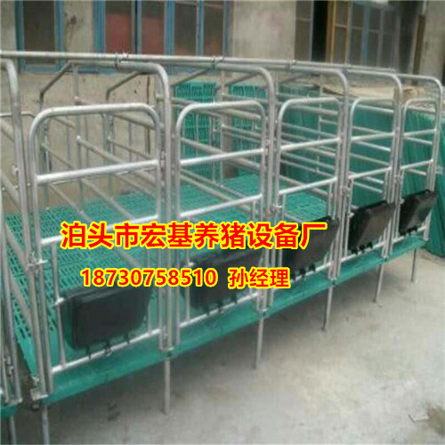 一套復合母豬限位欄的價格是多少圖片