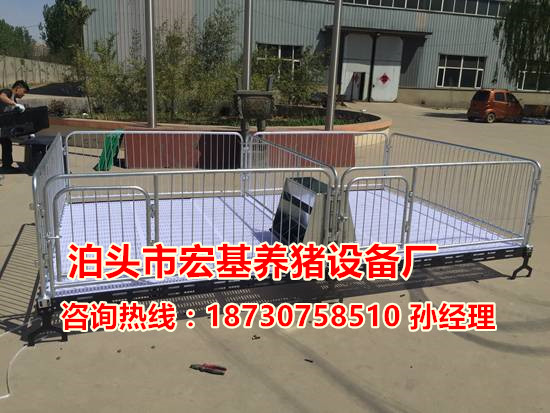 復(fù)合保育床廠家報(bào)價(jià) 仔豬活動(dòng)床圖片/復(fù)合保育床廠家報(bào)價(jià) 仔豬活動(dòng)床樣板圖 (4)