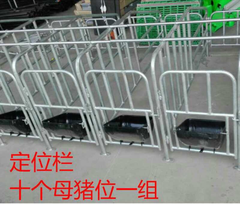 母豬限位欄圖片