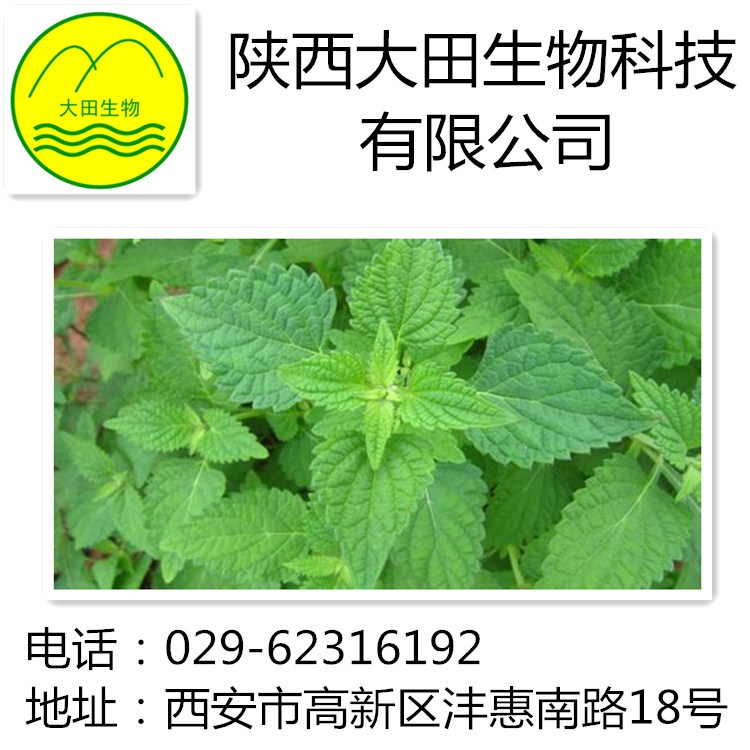 甲素圖片/甲素樣板圖 (2)