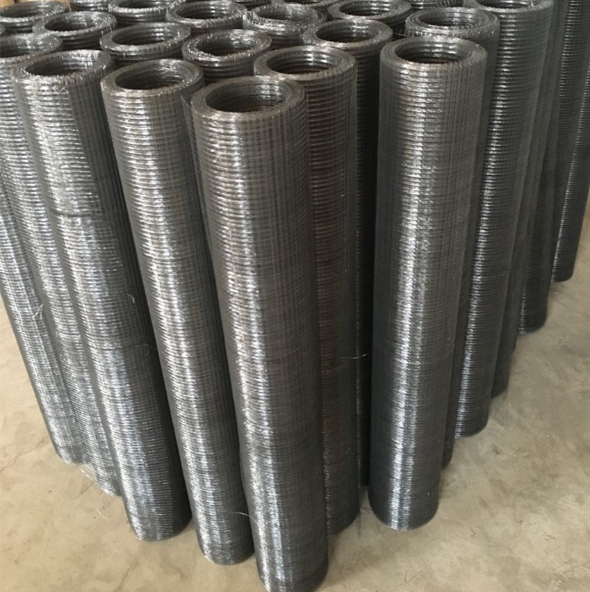 廠家-園林假山鐵絲網(wǎng)/假山電焊網(wǎng)圖片