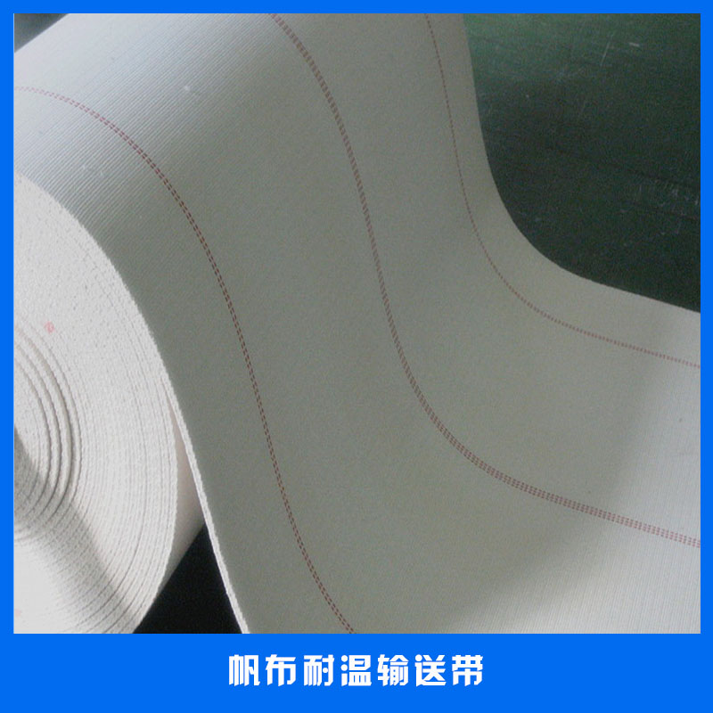 湖北PVC輸送帶廠家圖片/湖北PVC輸送帶廠家樣板圖 (4)