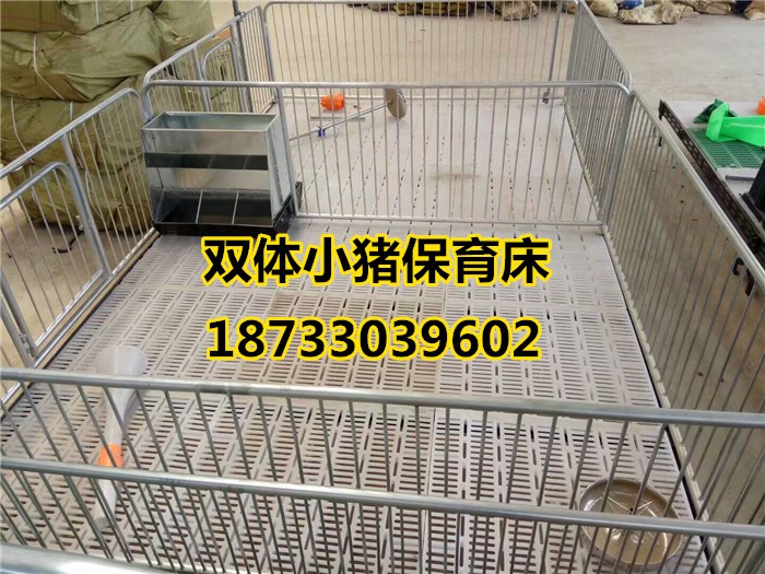 豬保育床圖片/豬保育床樣板圖 (3)