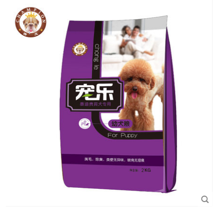 貴賓幼犬圖片/貴賓幼犬樣板圖 (2)