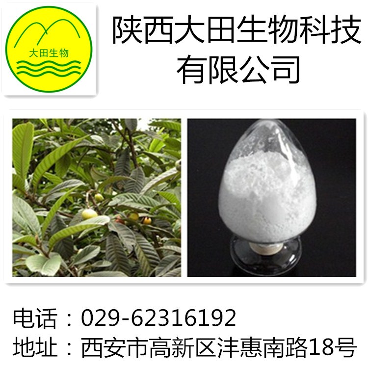 優(yōu)質(zhì)熊果酸提取物 抗?jié)兗敖档脱?供應(yīng)熊果酸提取物98%