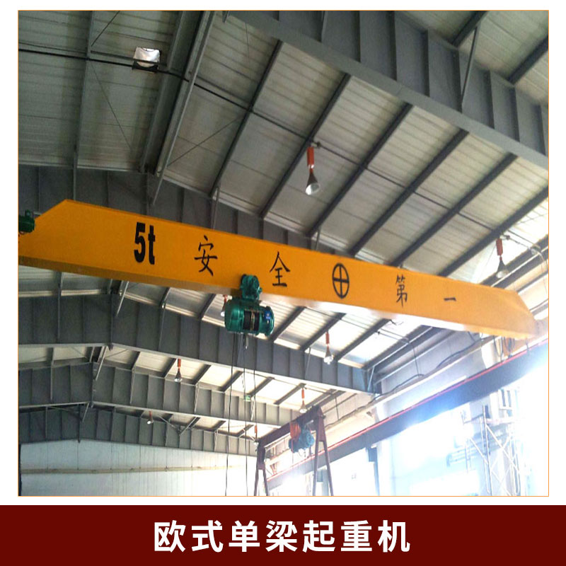 歐式單梁起重機(jī)圖片/歐式單梁起重機(jī)樣板圖 (2)