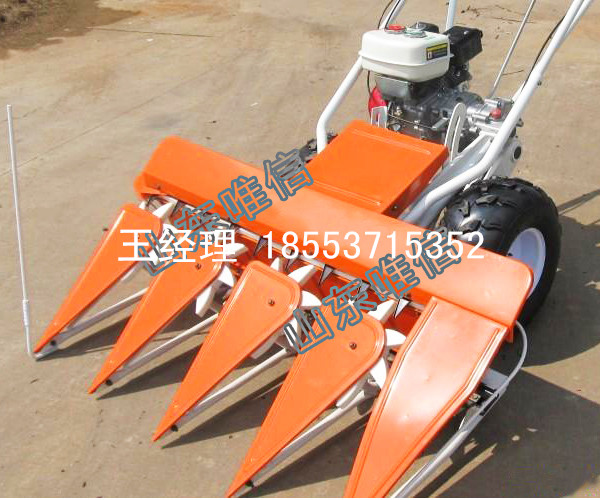 辣椒割曬機 新型設計 收割快 效率高質(zhì)量可靠