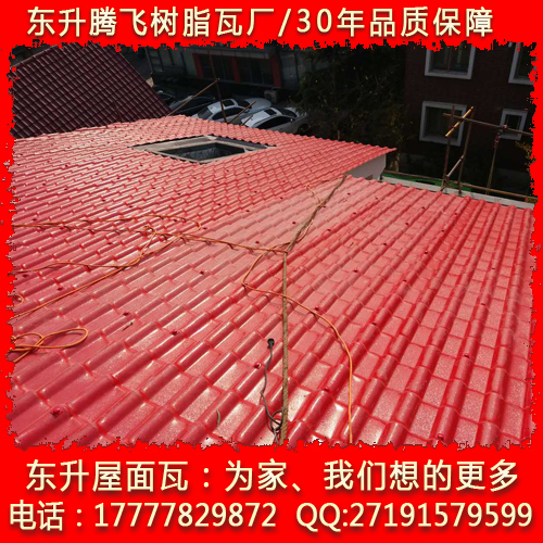 屋面瓦圖片/屋面瓦樣板圖 (3)