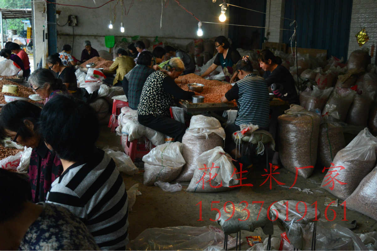 正陽花生米價格圖片/正陽花生米價格樣板圖 (3)