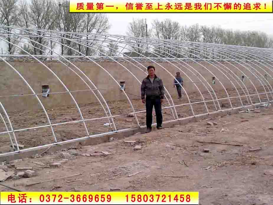 日光溫室大棚設計制作圖片/日光溫室大棚設計制作樣板圖 (2)
