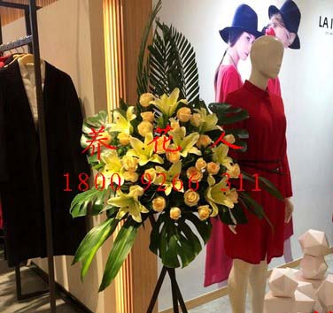 西安開業(yè)花籃圖片/西安開業(yè)花籃樣板圖 (4)