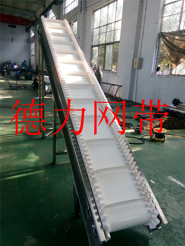 廠家直銷食品拉白色無(wú)味輸送機(jī)圖片/廠家直銷食品拉白色無(wú)味輸送機(jī)樣板圖 (3)