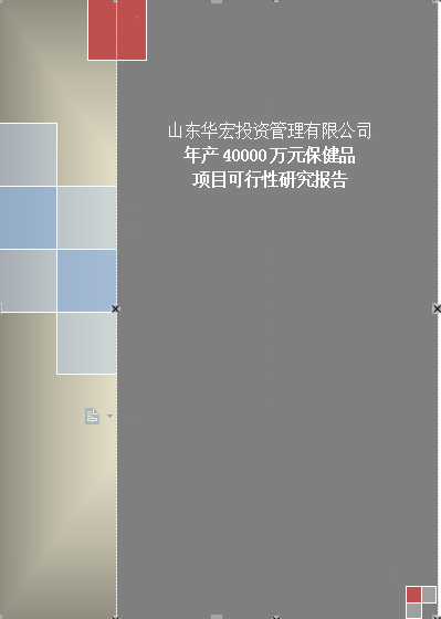 *項目可行性研究報告