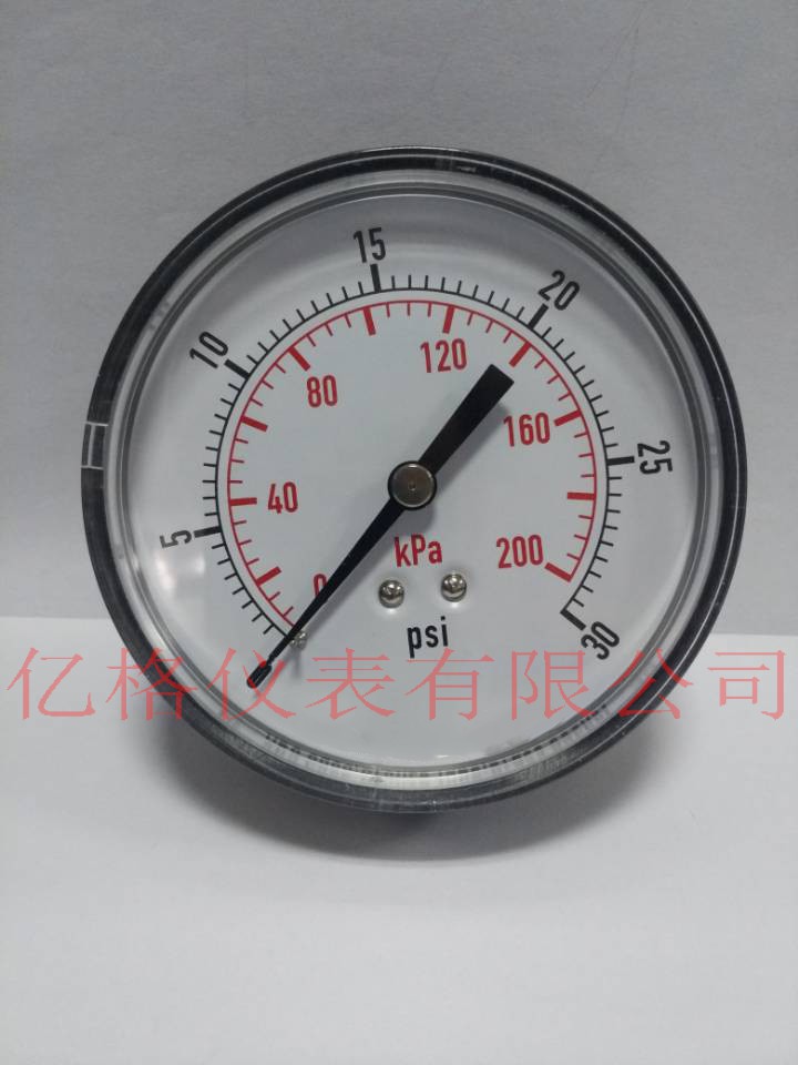 億格儀表特制80*1/2NPT接頭真空壓