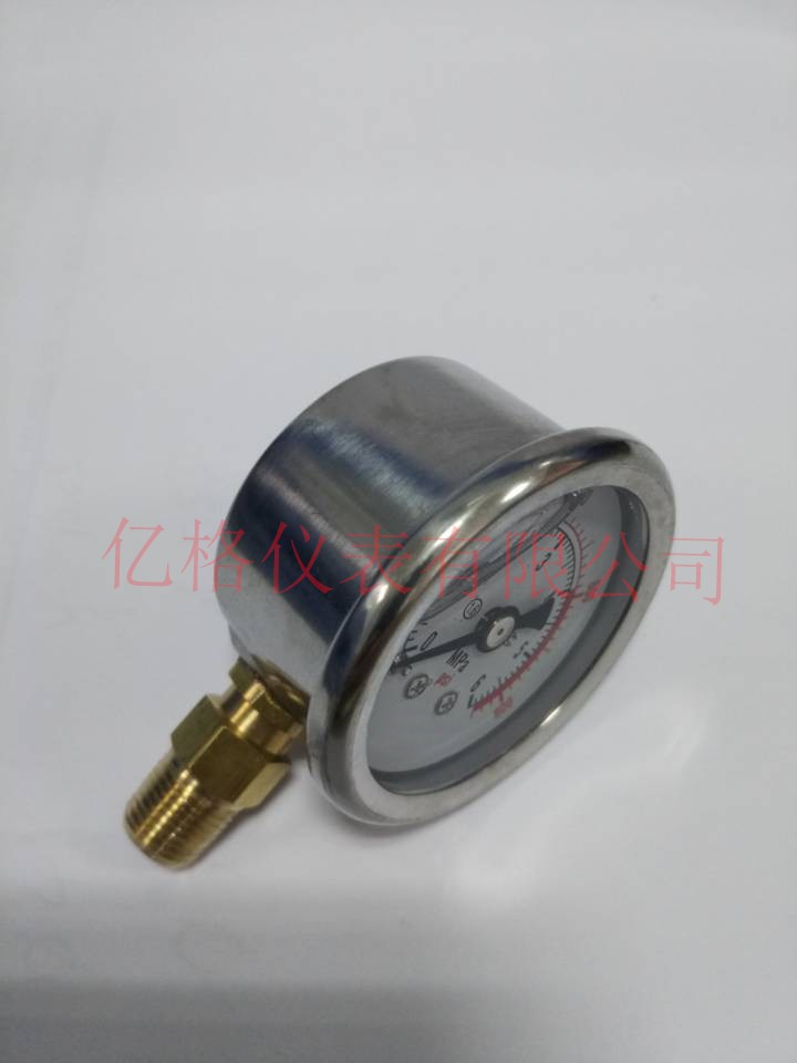 不銹鋼40徑向充油表，6MPa圖片/不銹鋼40徑向充油表，6MPa樣板圖 (4)