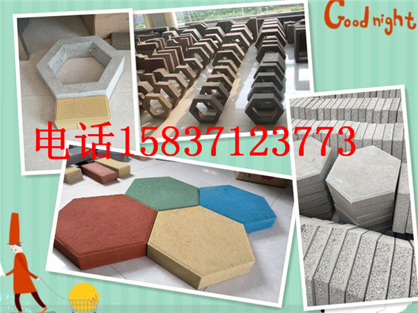 鄭州六邊形磚、護(hù)坡磚、廠價直銷15837123773