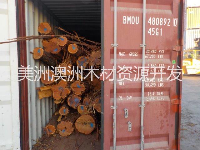 一手貨源圖片/一手貨源樣板圖 (4)