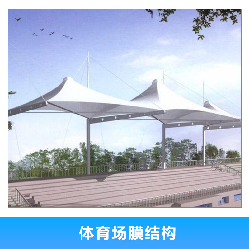 體育場膜結(jié)構(gòu)圖片/體育場膜結(jié)構(gòu)樣板圖 (2)
