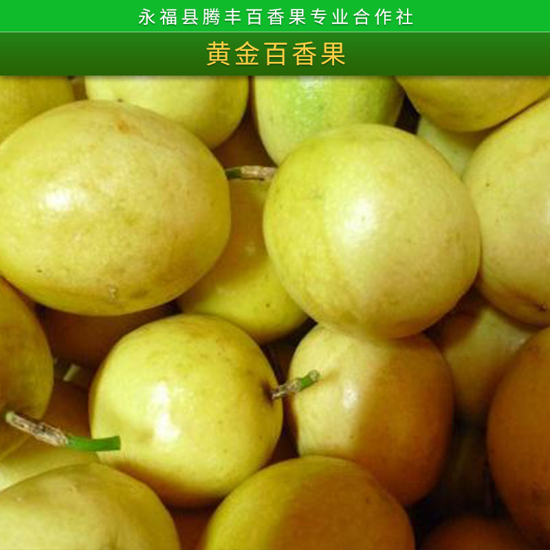 百香果圖片/百香果樣板圖 (3)