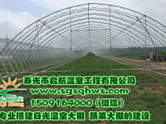 全鋼架鋼梁拱棚建 專業(yè)溫室工程圖片/全鋼架鋼梁拱棚建 專業(yè)溫室工程樣板圖 (3)