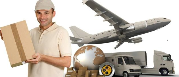 香港包車圖片/香港包車樣板圖 (3)