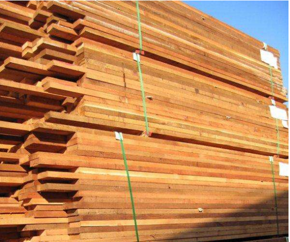 紅雪松圖片/紅雪松樣板圖 (1)