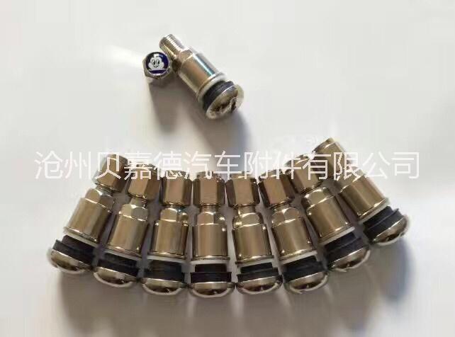 無內(nèi)胎氣門嘴圖片/無內(nèi)胎氣門嘴樣板圖 (4)