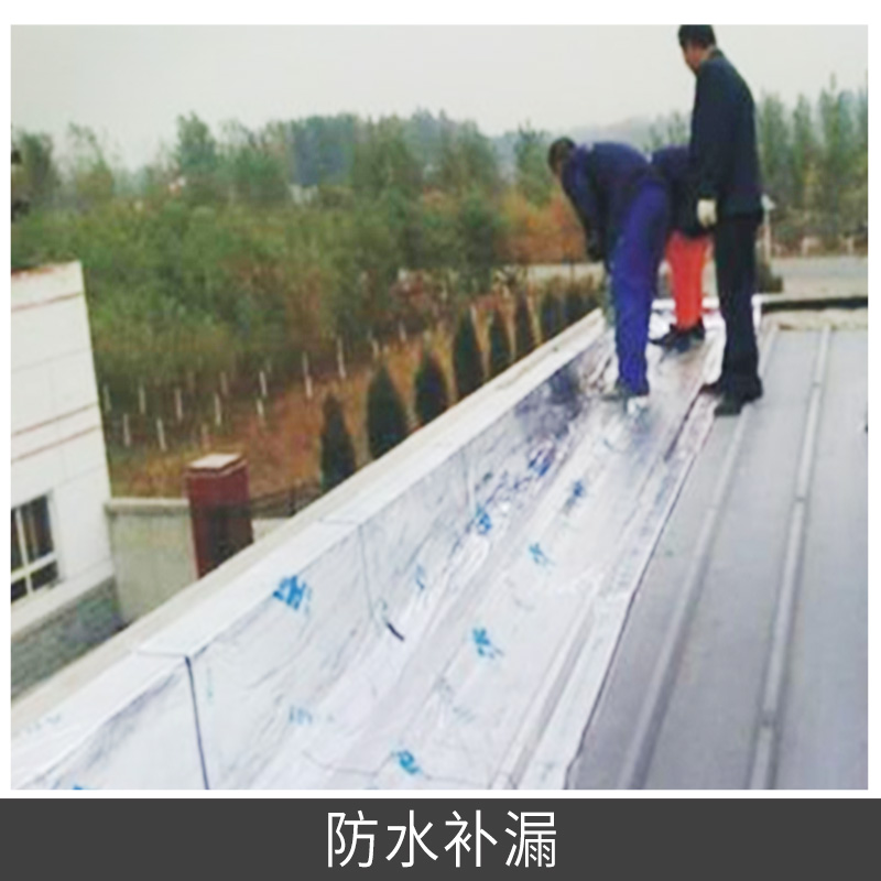 防水補(bǔ)漏圖片/防水補(bǔ)漏樣板圖 (2)