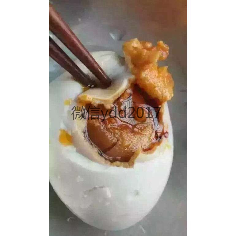 北部灣紅樹林特產(chǎn)海鴨蛋圖片/北部灣紅樹林特產(chǎn)海鴨蛋樣板圖 (2)