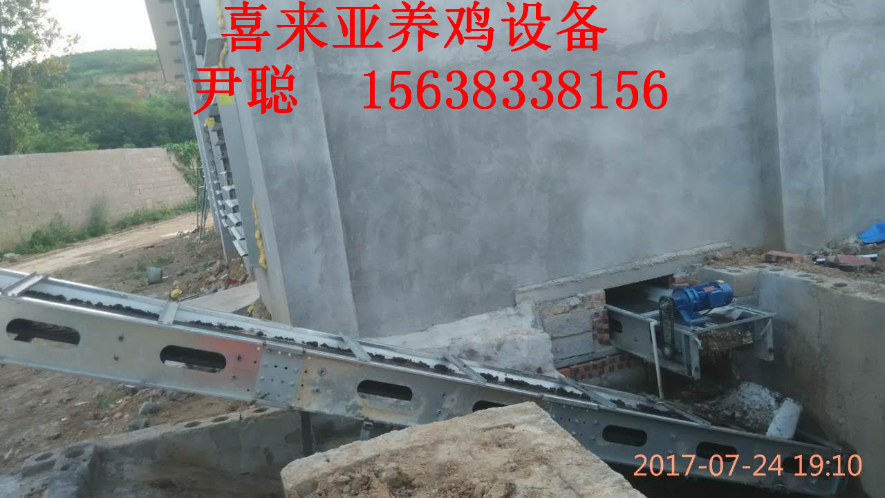 全自動化養(yǎng)雞設備圖片/全自動化養(yǎng)雞設備樣板圖 (4)