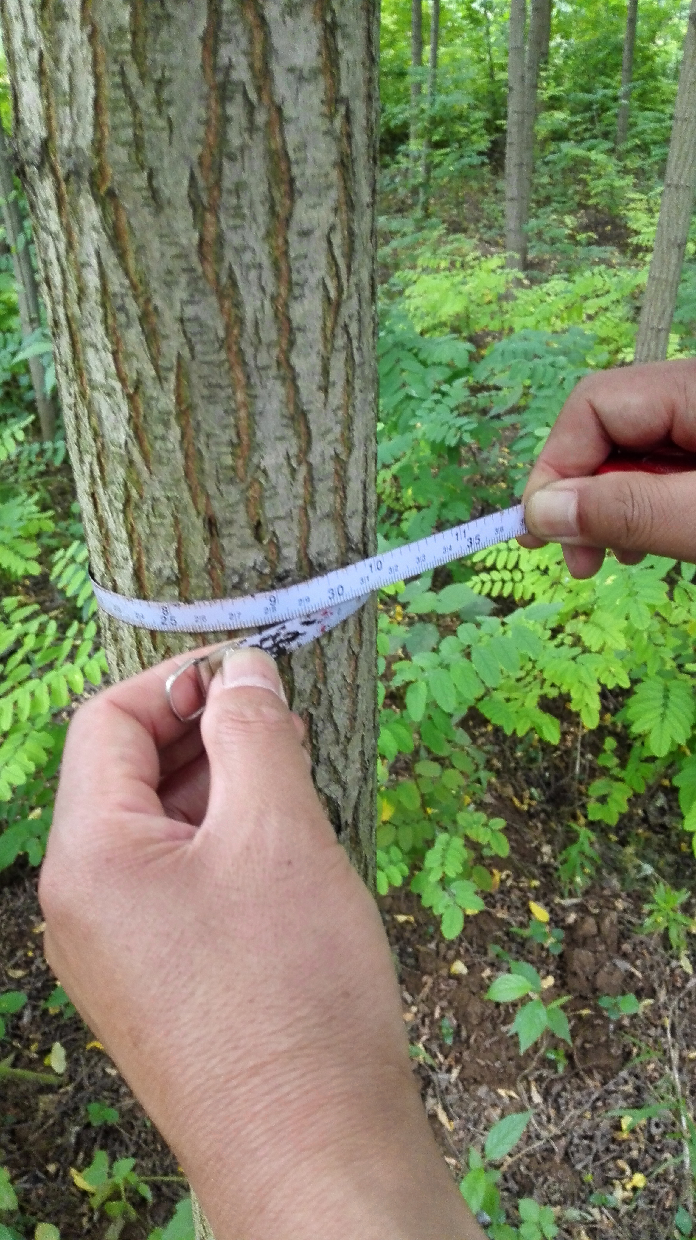 蕭縣圖片/蕭縣樣板圖 (3)