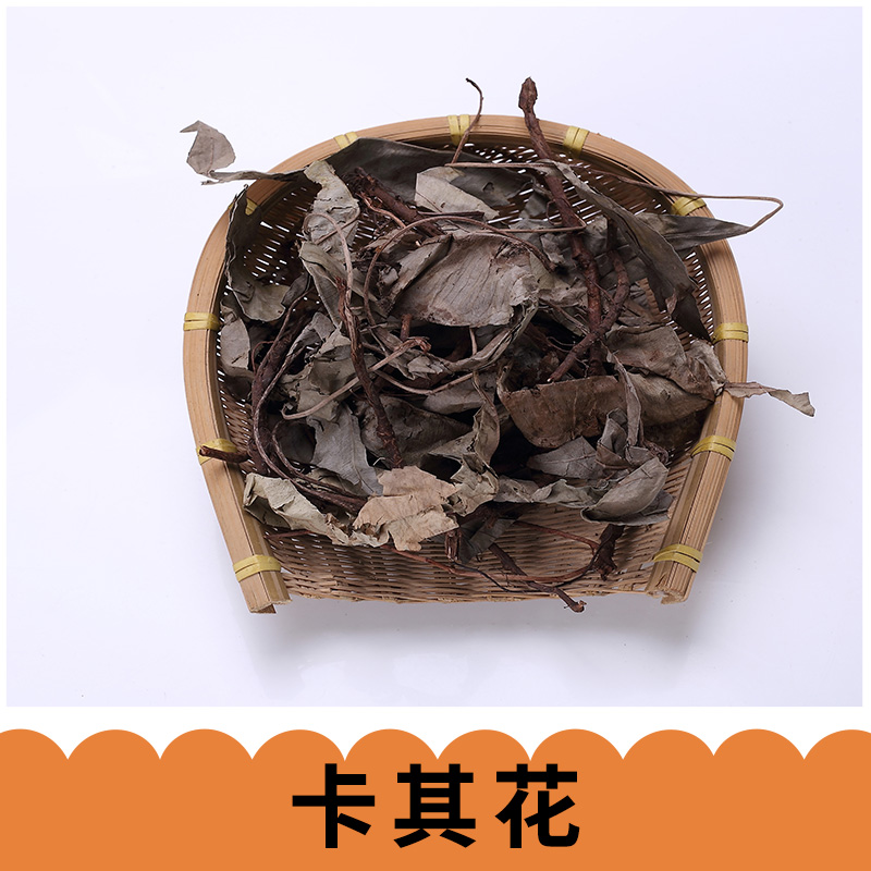 卡其花圖片/卡其花樣板圖 (3)