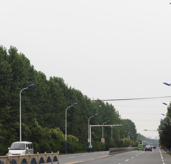 9米路燈自彎臂路燈圖片/9米路燈自彎臂路燈樣板圖 (4)