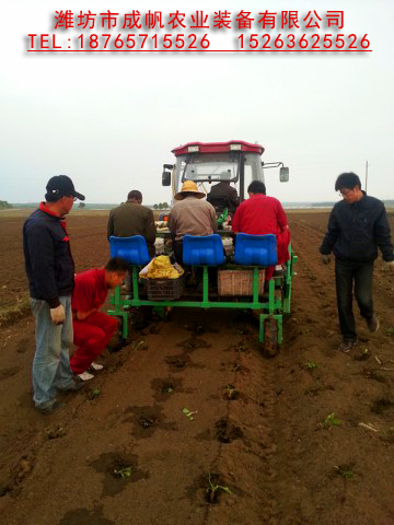 成帆2ZBX-3型甘藍移栽機圖片