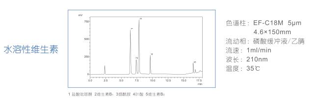 C18液相色譜柱圖片/C18液相色譜柱樣板圖 (2)