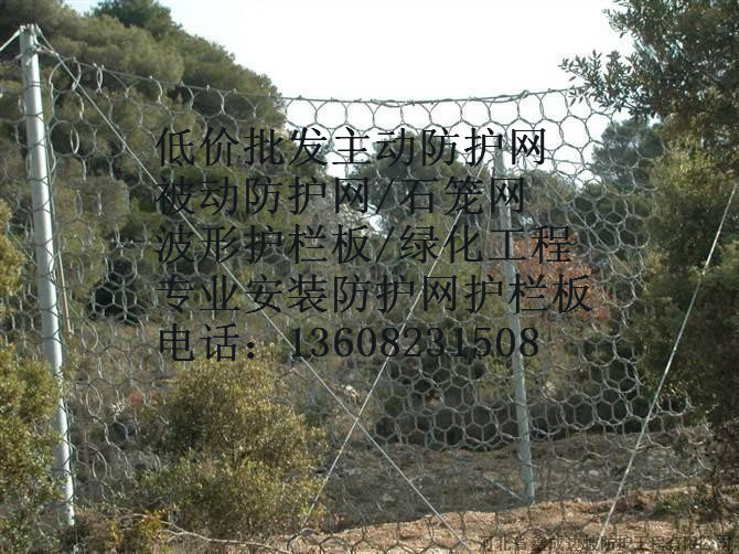 被動防護(hù)網(wǎng)RXI150圖片