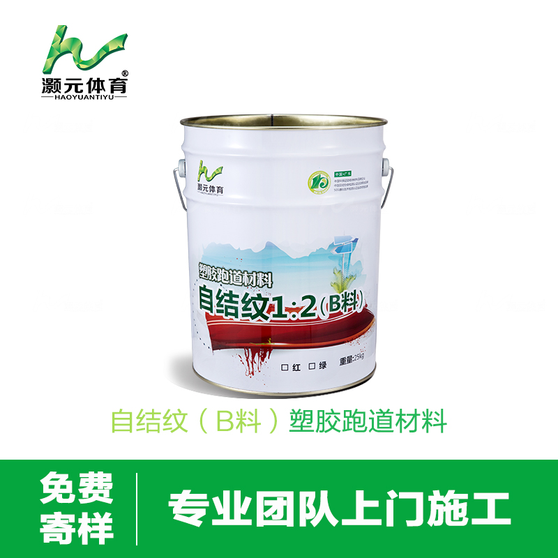 塑膠跑道圖片/塑膠跑道樣板圖 (3)