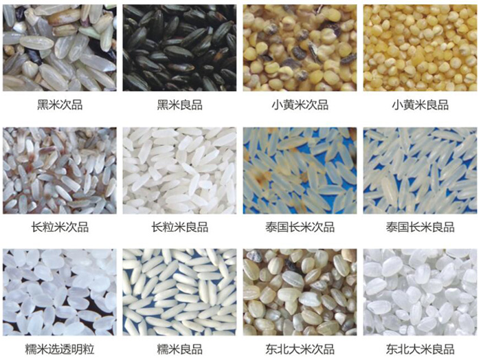 大米色選機(jī)圖片/大米色選機(jī)樣板圖 (3)