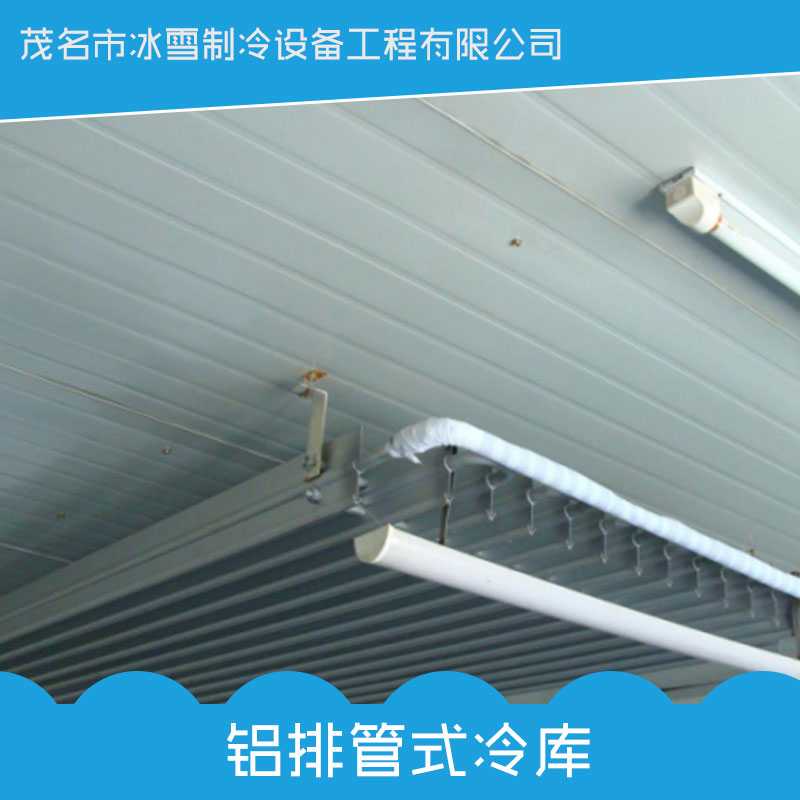 鋁排管式冷庫圖片/鋁排管式冷庫樣板圖 (3)